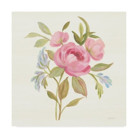 Silvia Vassileva 'Petals And Blossoms Iv' Canvas Art,18x18